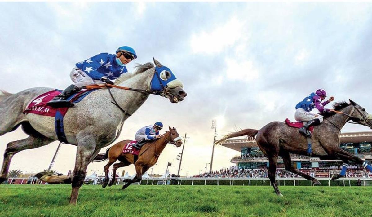 Al Shaqab Commercial Manager Announces Holding Equestrian Events to Promote Qatar World Cup 2022
